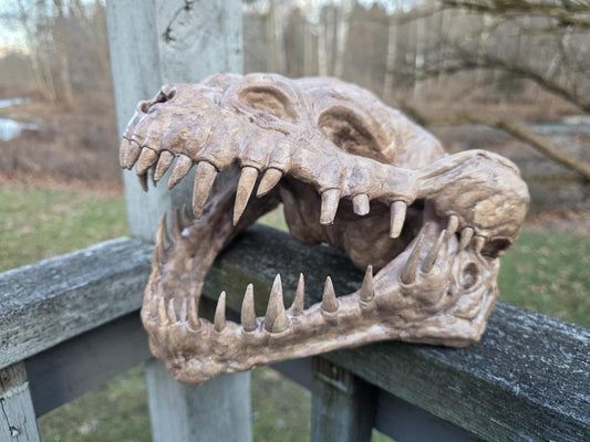 Handcrafted Nexu Skull Weathered Prop - Small