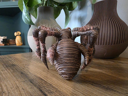 Baby Andor Ghorman Souvenir Ghorlectipod Spider