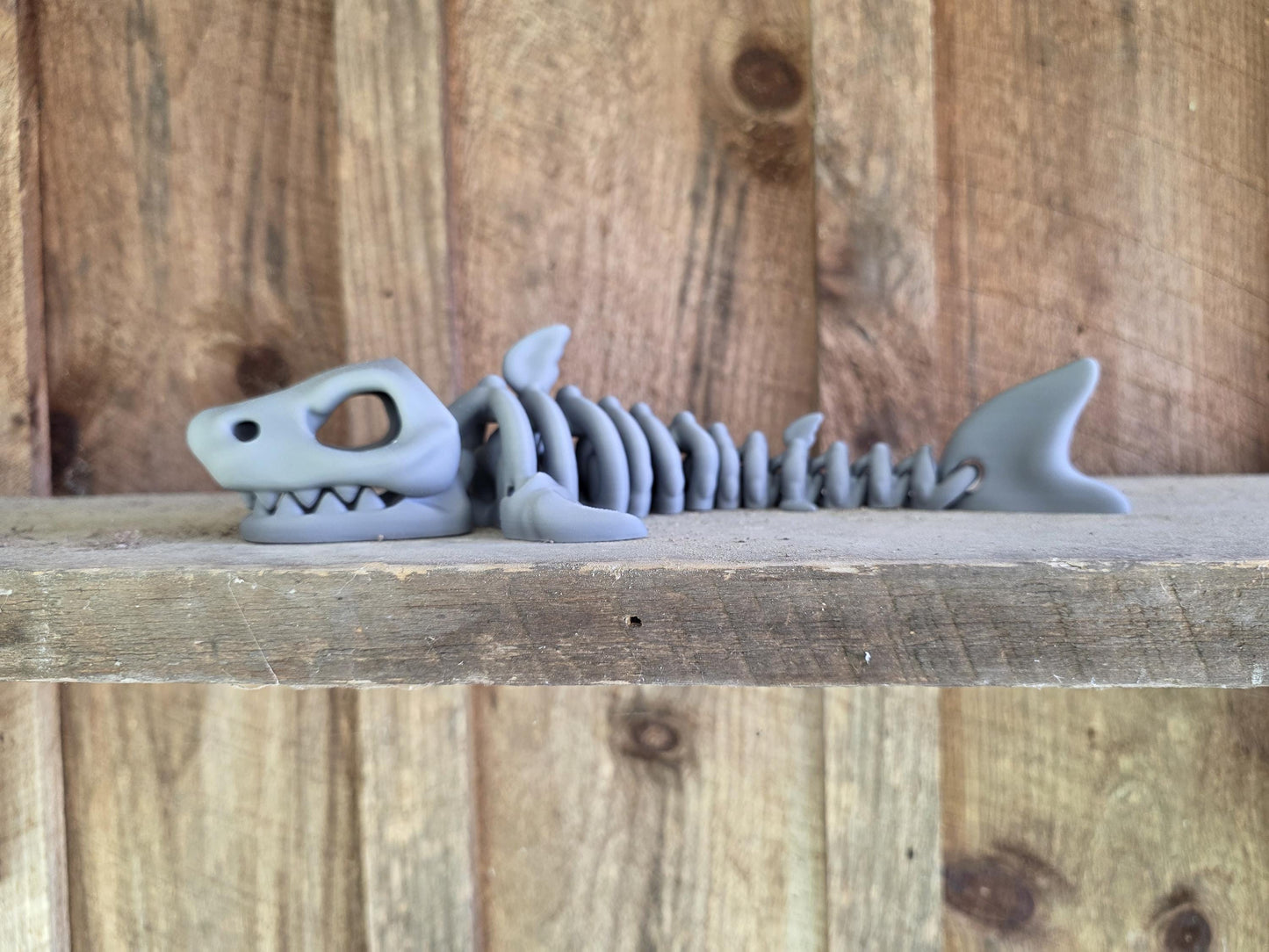 Articulated Skeletal Sharky Toy