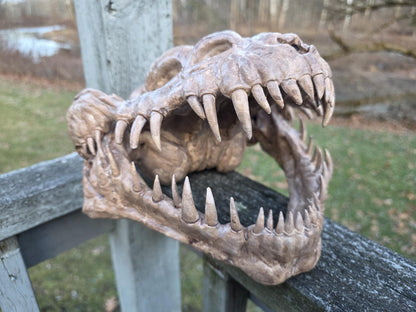 Handcrafted Nexu Skull Weathered Prop - Small