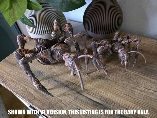 Baby Andor Ghorman Souvenir Ghorlectipod Spider