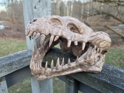 Handcrafted Nexu Skull Weathered Prop - Small