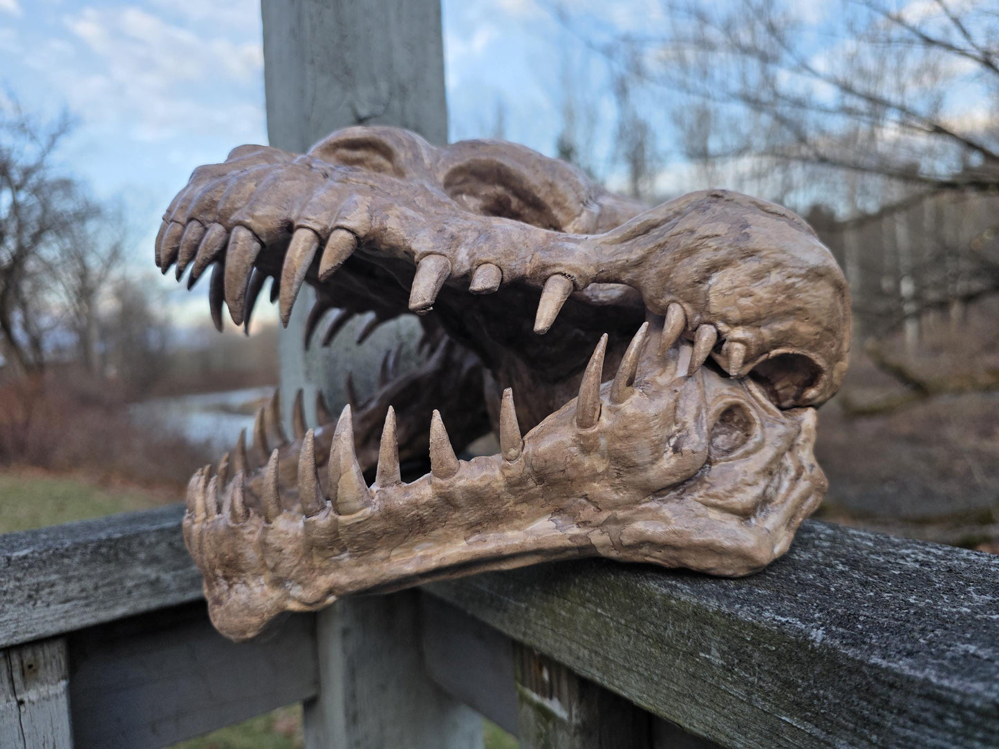 Handcrafted Nexu Skull Weathered Prop - Small