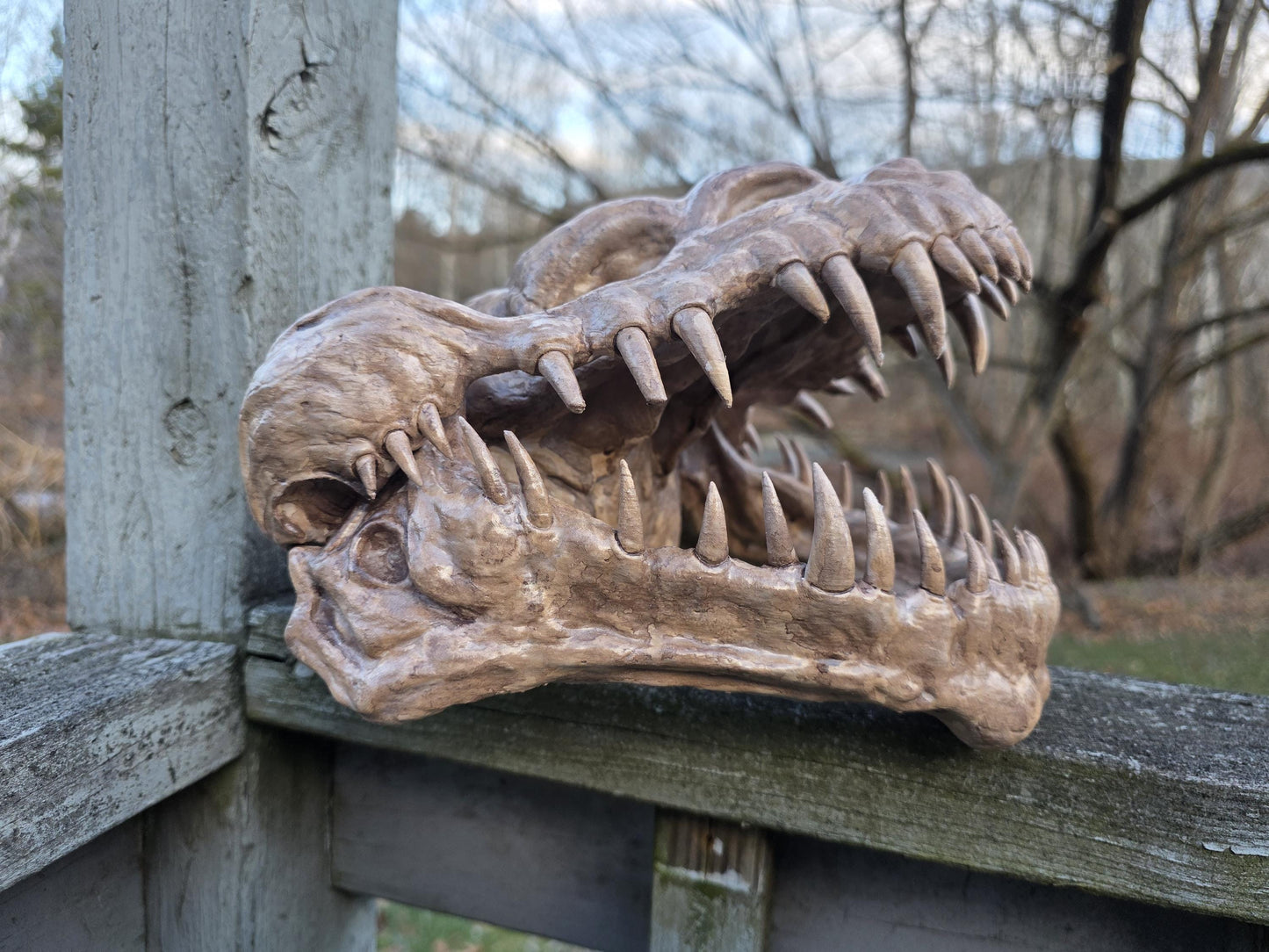 Handcrafted Nexu Skull Weathered Prop - Small